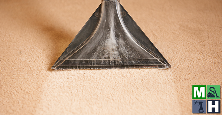Benefits of Professional Carpet Cleaning featured image